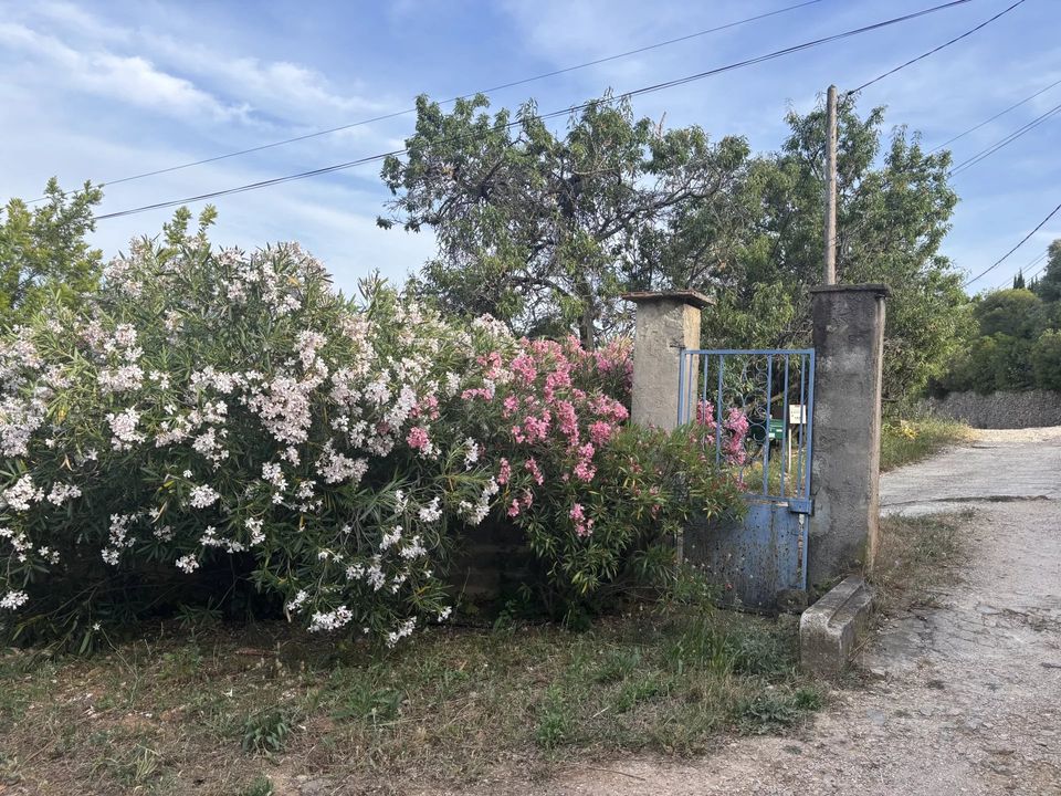 Villa i Ollioules, Var - foto 1