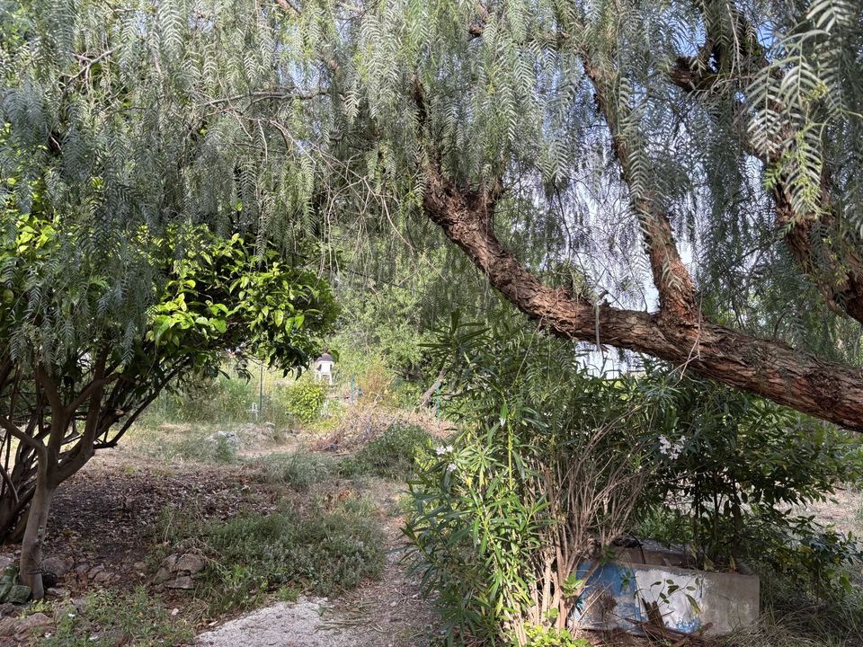 Villa i Ollioules, Var - foto 4