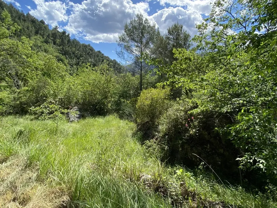 Terra a Castellar, Alpes-Maritimes - foto 2
