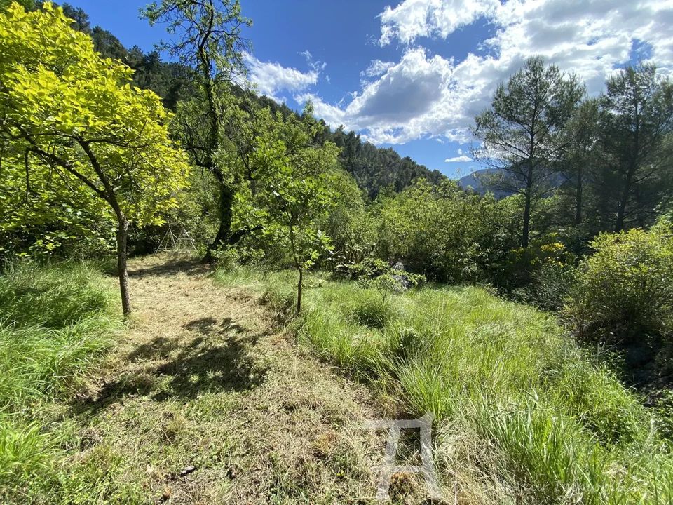 Terra a Castellar, Alpes-Maritimes - foto 5