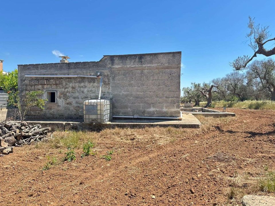Farm hus i San Vito dei Normanni, Brindisi - foto 1