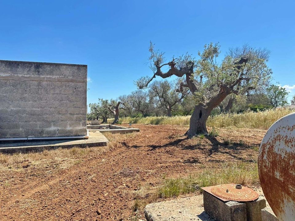 Farm hus i San Vito dei Normanni, Brindisi - foto 3