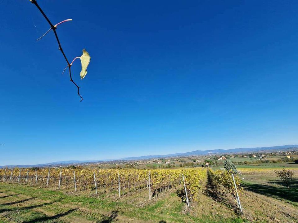 Farm hus i Montepulciano, Siena - foto 1