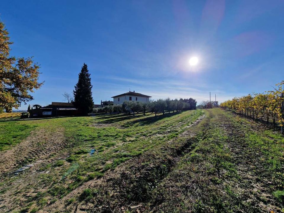 Farm hus i Montepulciano, Siena - foto 2