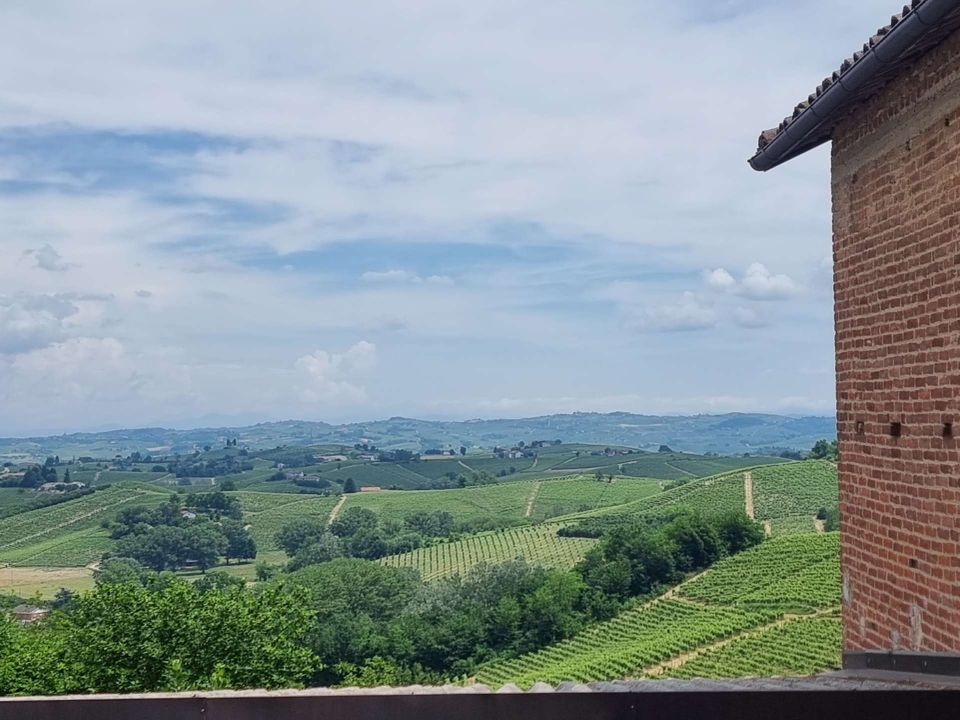 Herregård i Castelnuovo Calcea, Asti - bilde 4