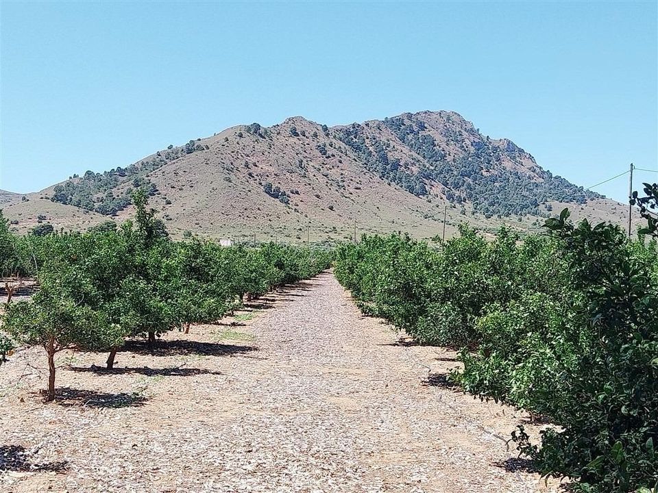 Landejendom i La Pinilla, Murcia - foto 3