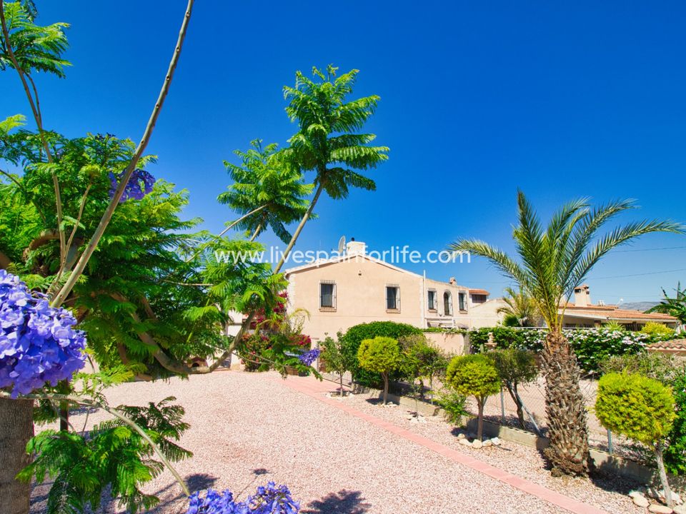 Landejendom i Albatera, Alicante - foto 1