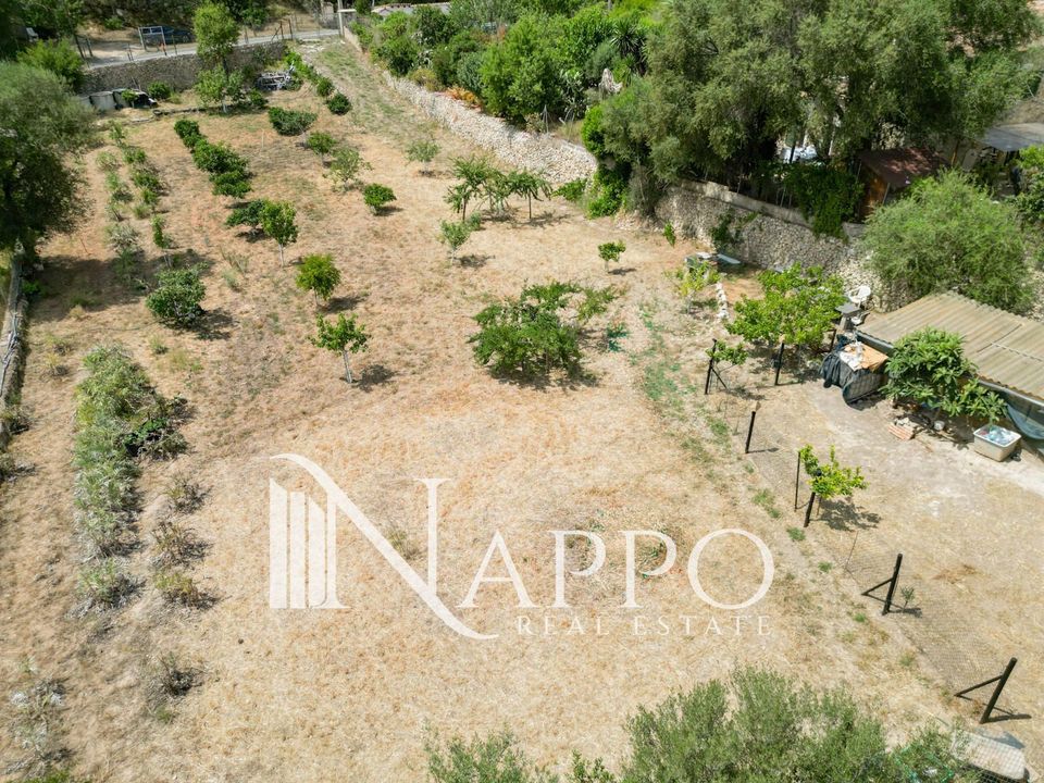 Finca i Calvia, Mallorca - foto 3