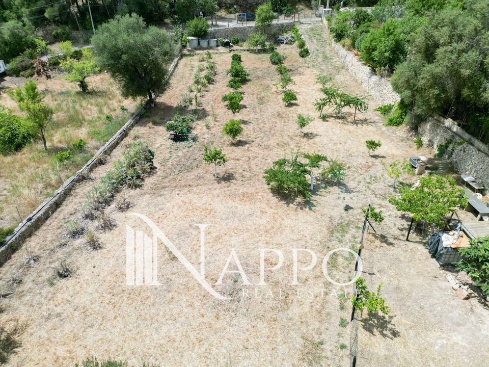 Finca i Calvia, Mallorca - foto 4