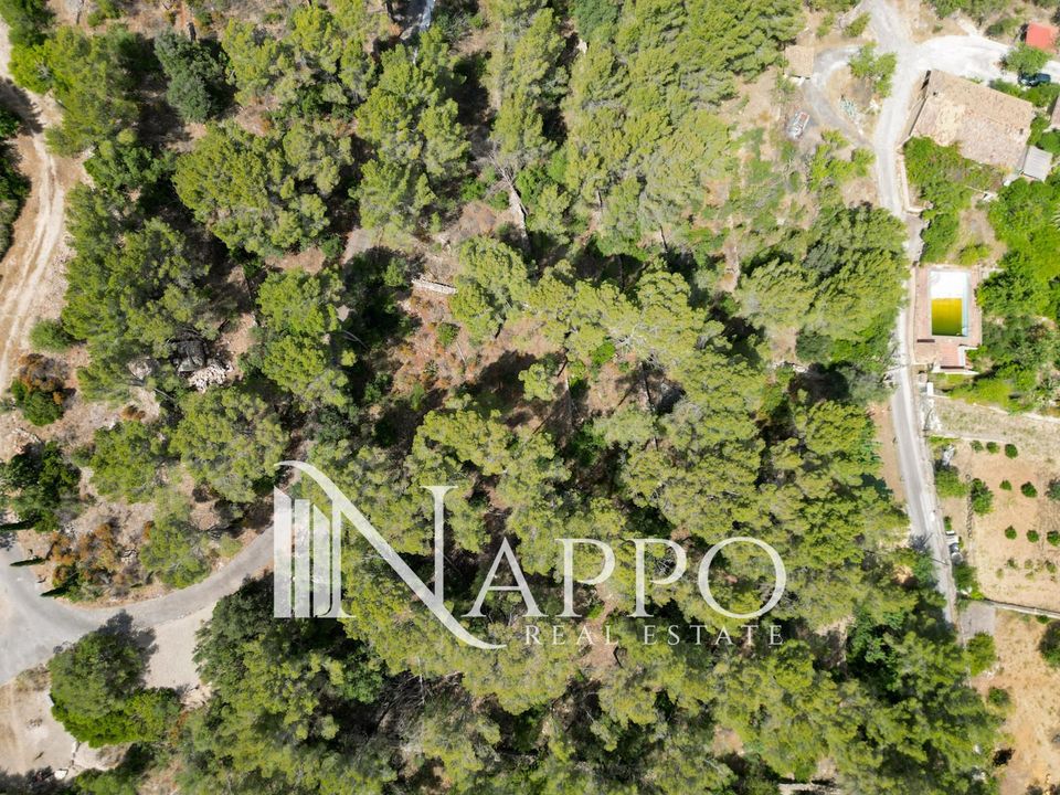 Finca i Calvia, Mallorca - foto 5