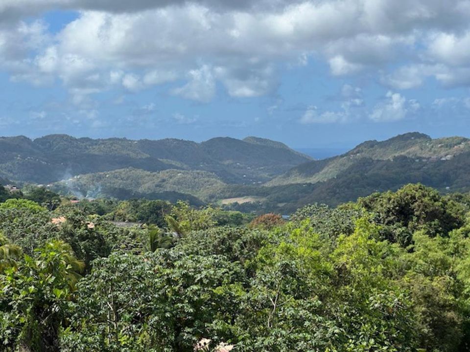 Villa en Riviere-Pilote, Martinique - foto 5