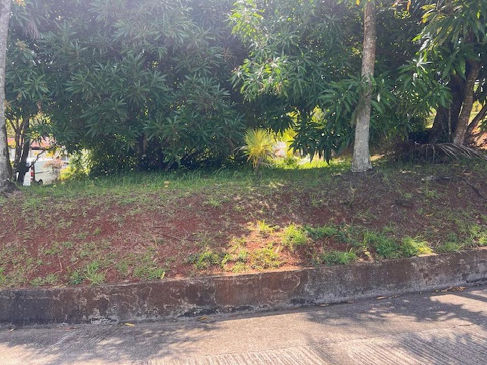 Tomt i Riviere-Pilote, Martinique - bilde 3