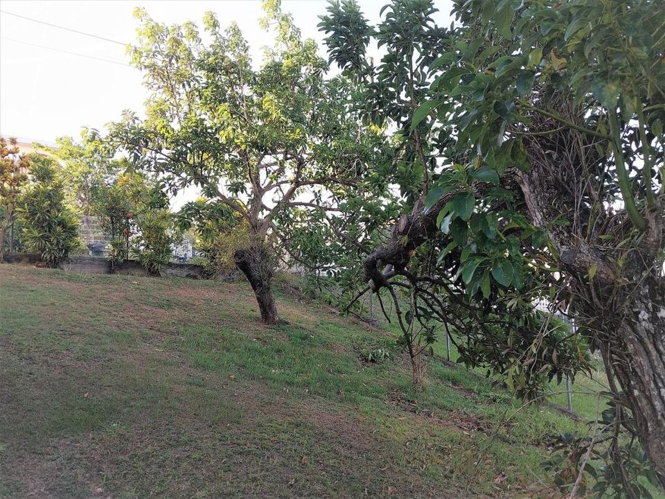 Villa i Schoelcher, Martinique - bilde 4