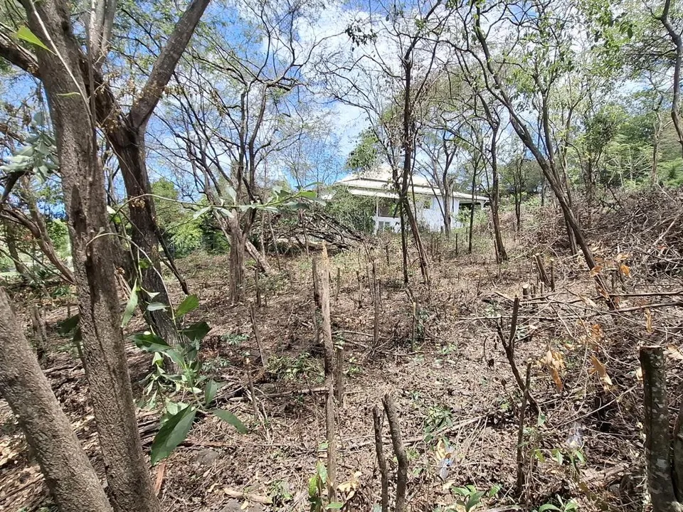 Tomt i Bouillante, Guadeloupe - bilde 5