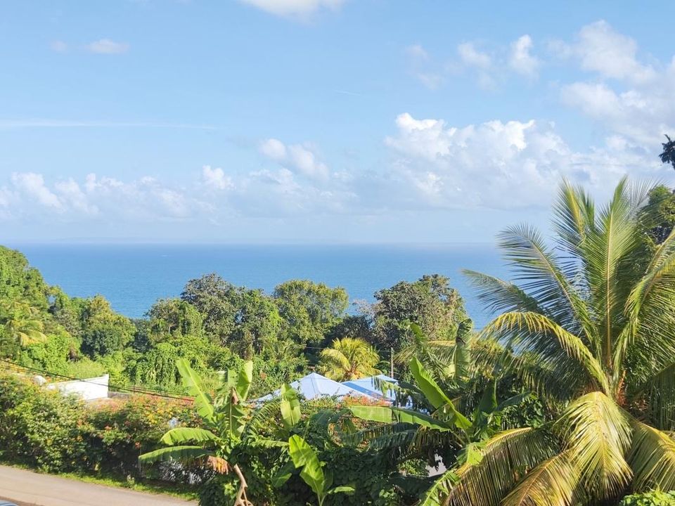 Villa i Capesterre-Belle-Eau, Guadeloupe - bilde 5