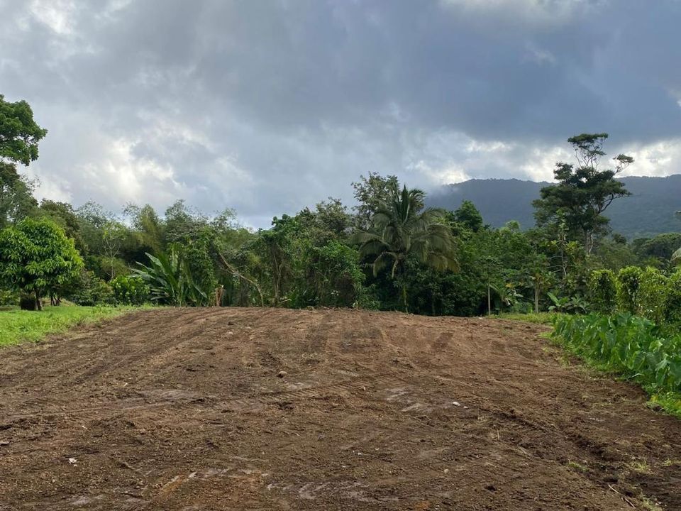 Helårsgrund i Le Morne-Rouge, Martinique - foto 1