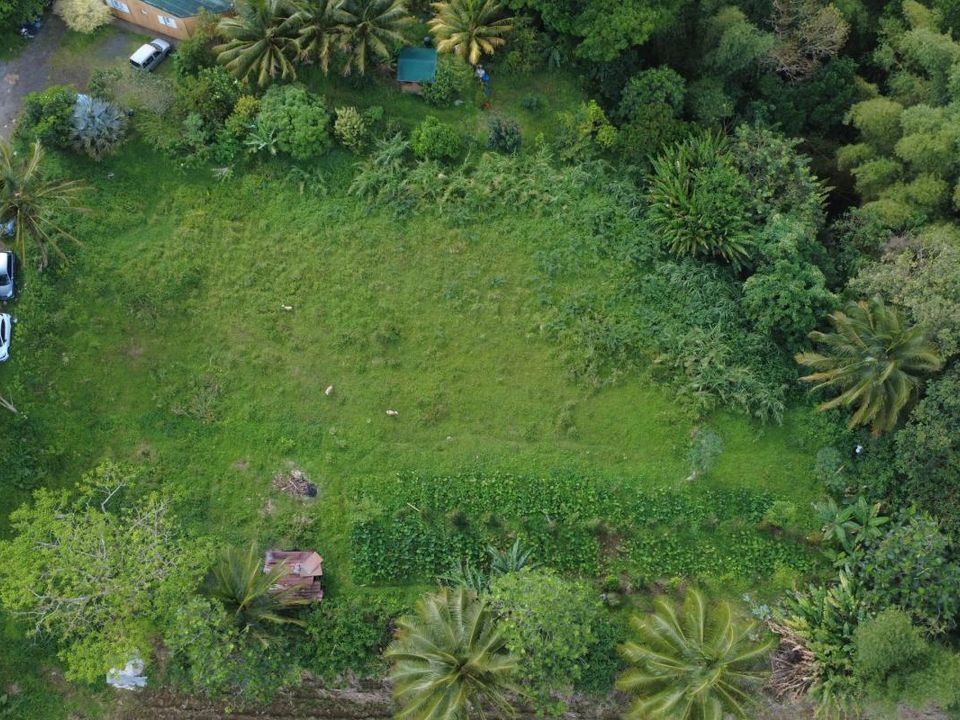 Helårsgrund i Le Morne-Rouge, Martinique - foto 2