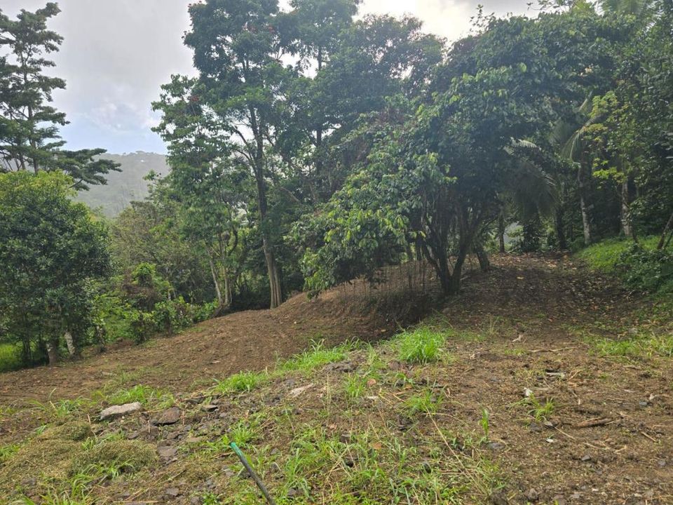 Helårsgrund i Fort-de-France, Martinique - foto 1