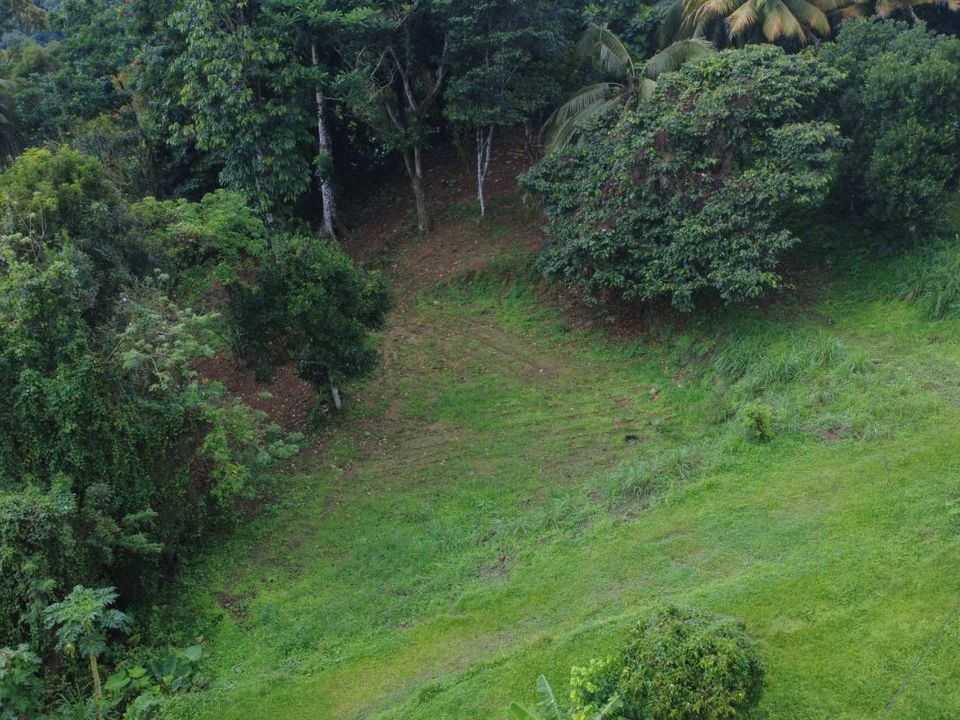 Helårsgrund i Fort-de-France, Martinique - foto 3