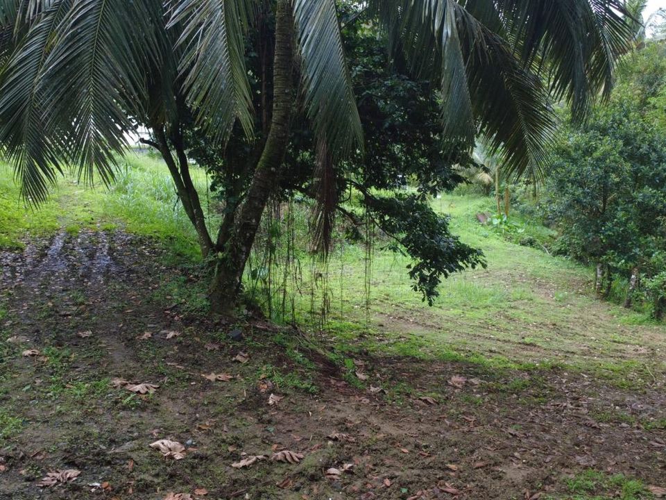 Helårsgrund i Fort-de-France, Martinique - foto 5