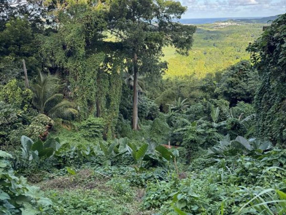 Terreno en Le Frasnois, Martinique - foto 1