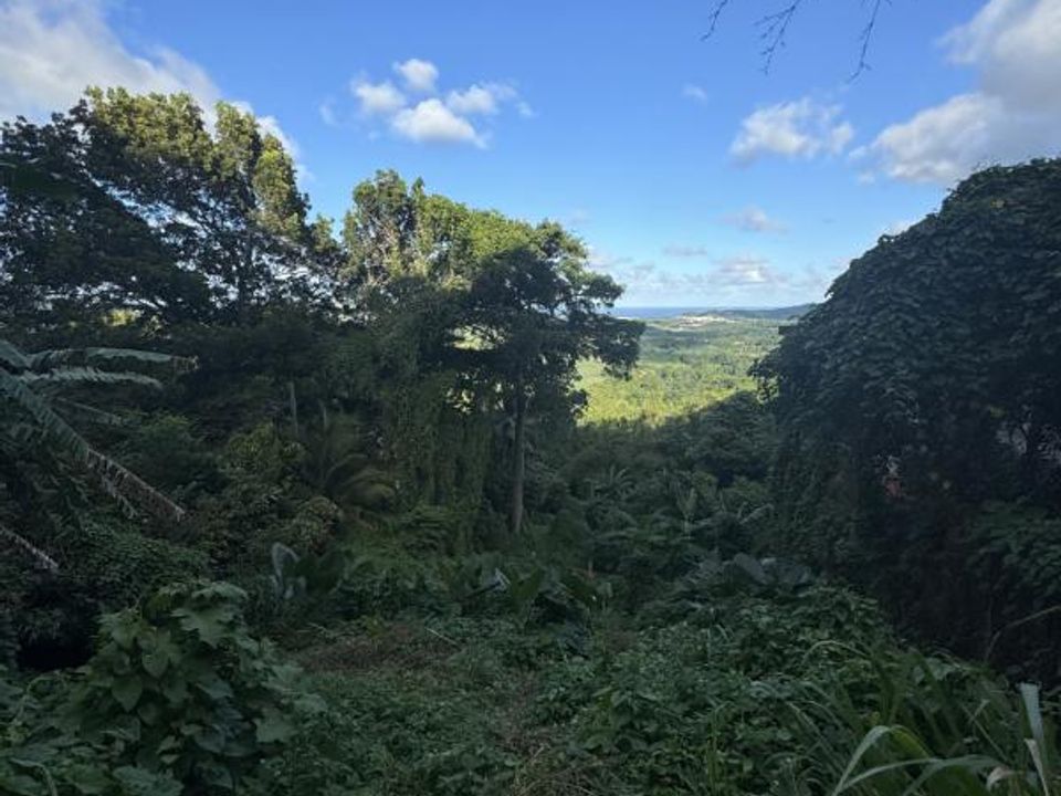 Terreno en Le Frasnois, Martinique - foto 2