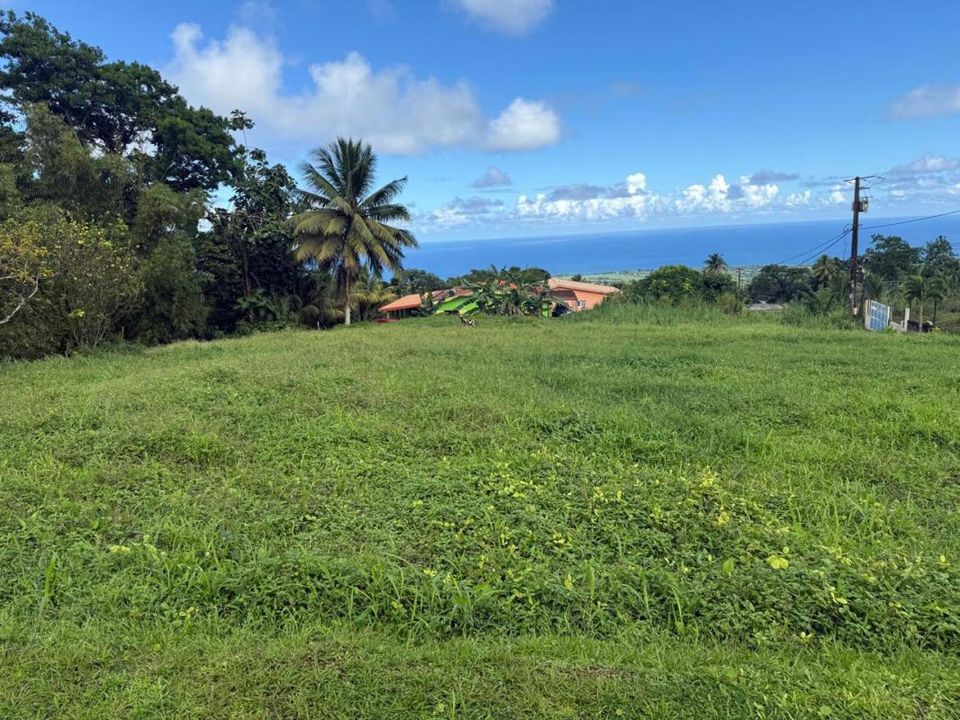 Terra a Basse-Pointe, Martinique - foto 1