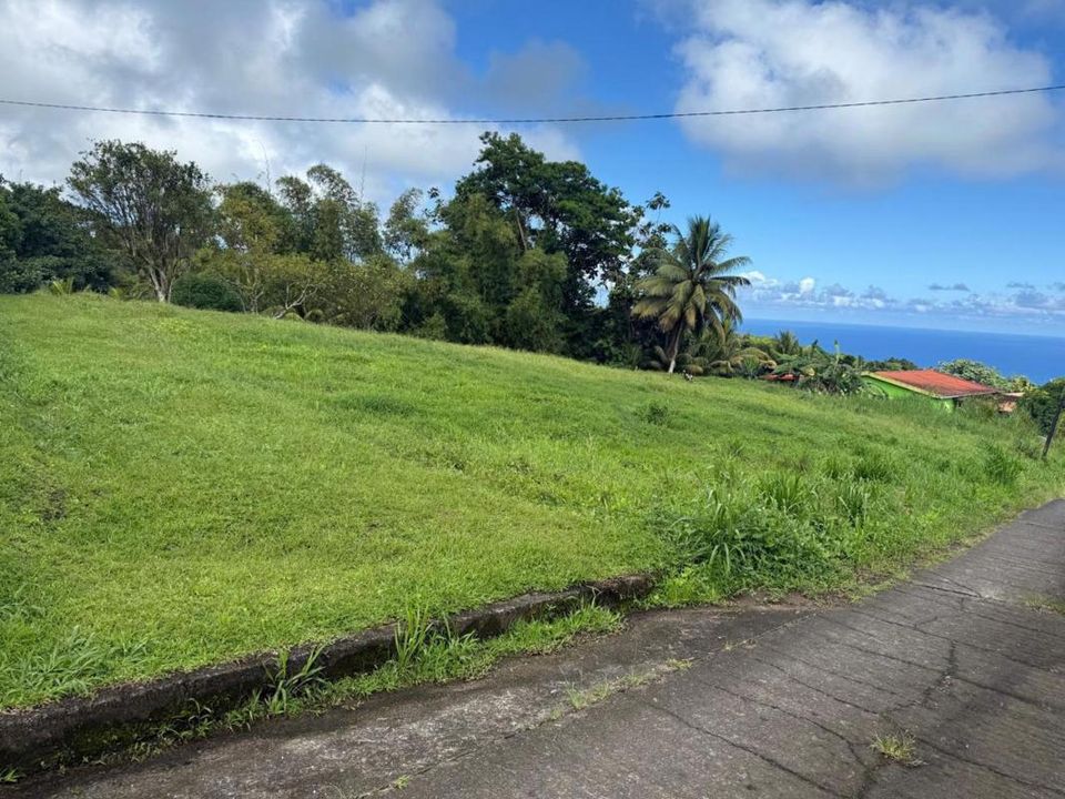 Terra a Basse-Pointe, Martinique - foto 2