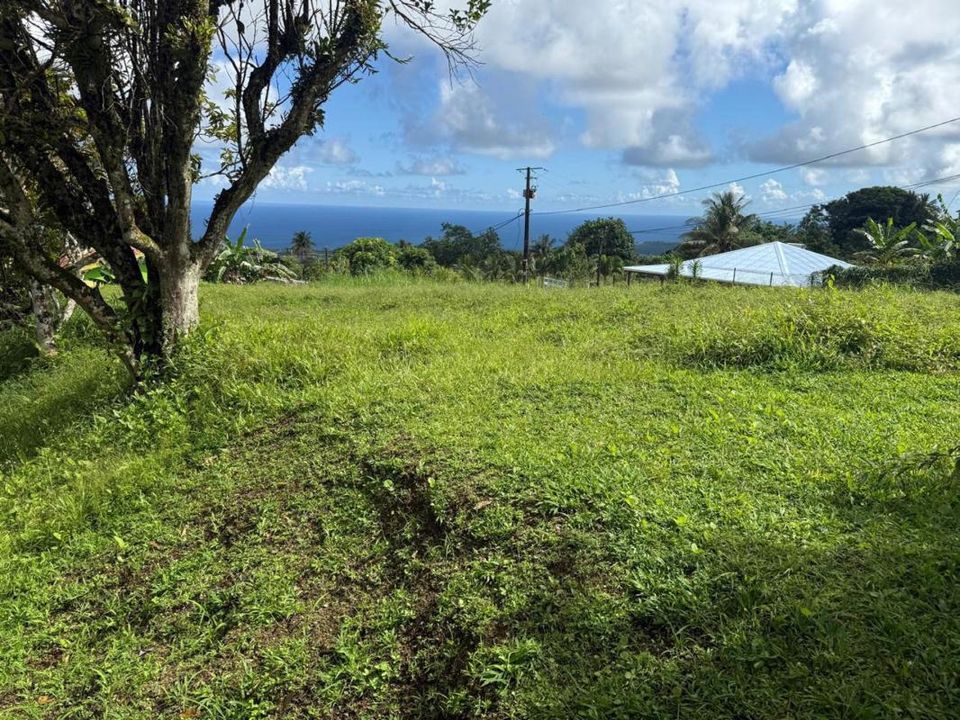 Terra a Basse-Pointe, Martinique - foto 3