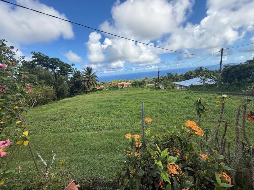 Terra a Basse-Pointe, Martinique - foto 4