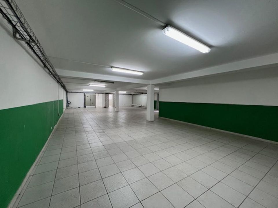 Erhvervsejendom i Le Lamentin, Martinique - foto 3