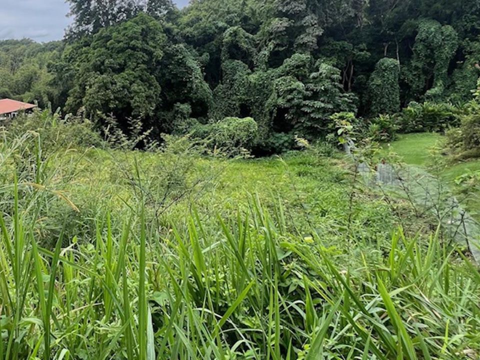 Tomt i Schoelcher, Martinique - bilde 2