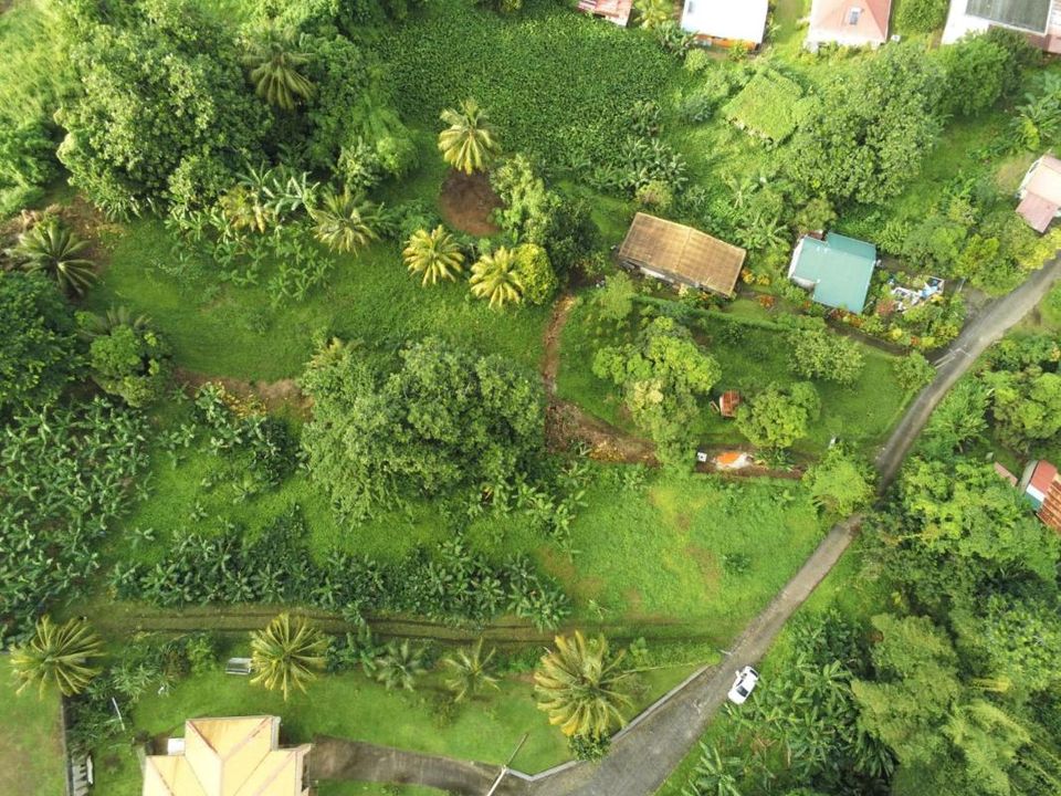 Terra a Le Lorrain, Martinique - foto 1