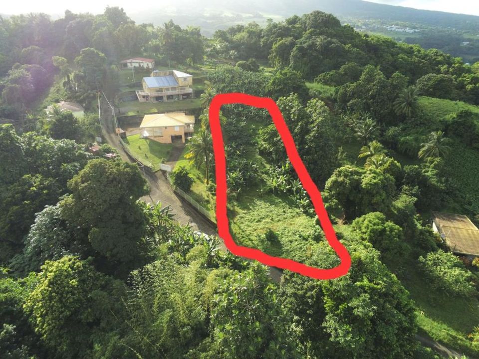 Terra a Le Lorrain, Martinique - foto 2