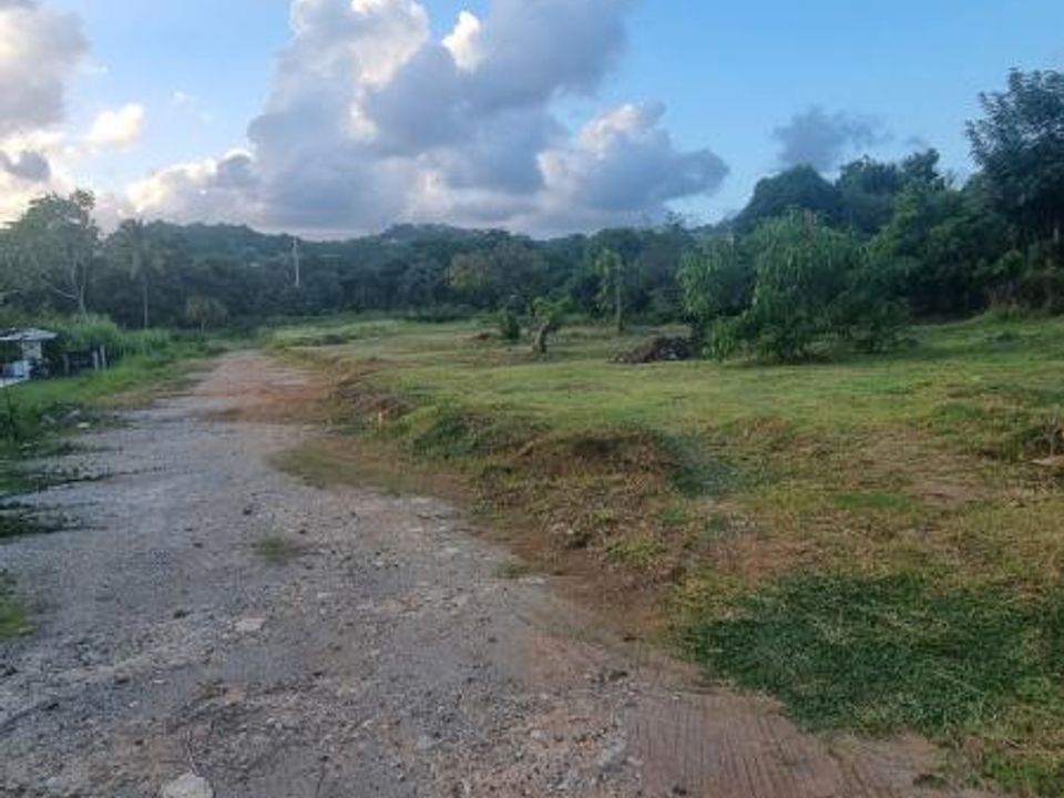 Grond in Le Robert, Martinique - foto 1
