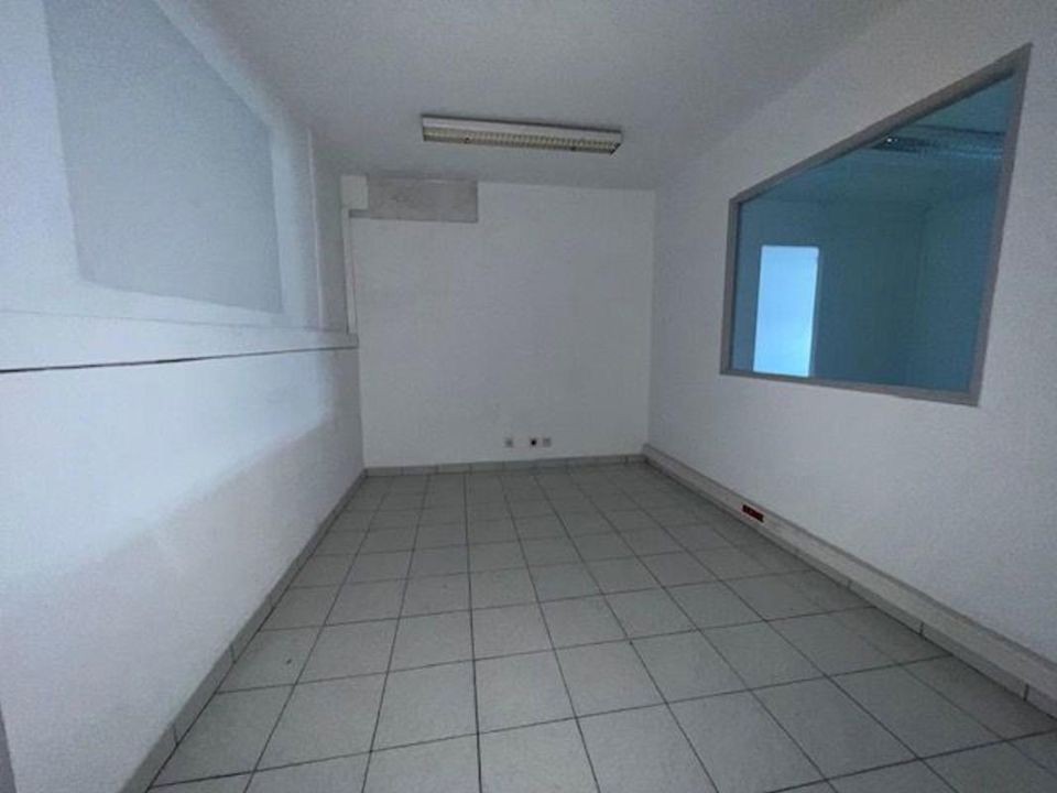 Erhvervsejendom i Le Lamentin, Martinique - foto 3