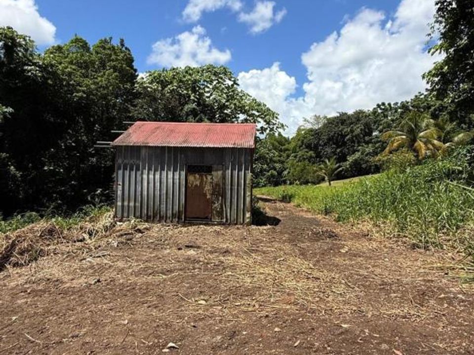 Grond in Le Lamentin, Martinique - foto 1