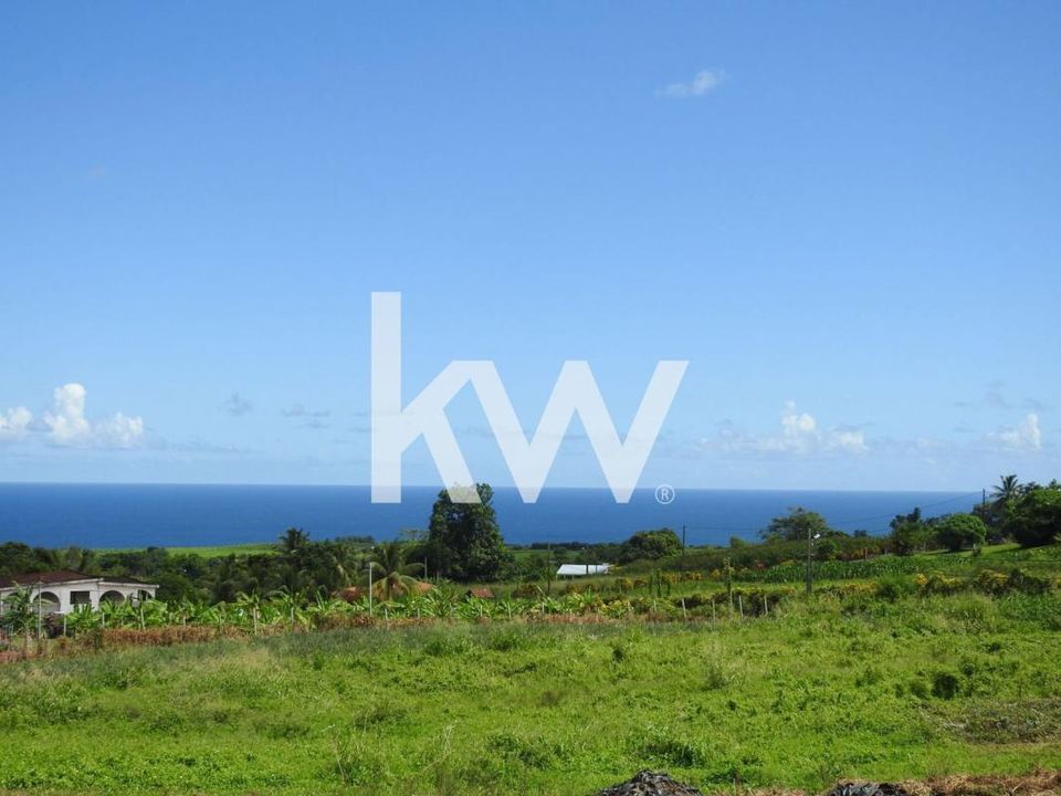 Terra a Basse-Pointe, Martinique - foto 2