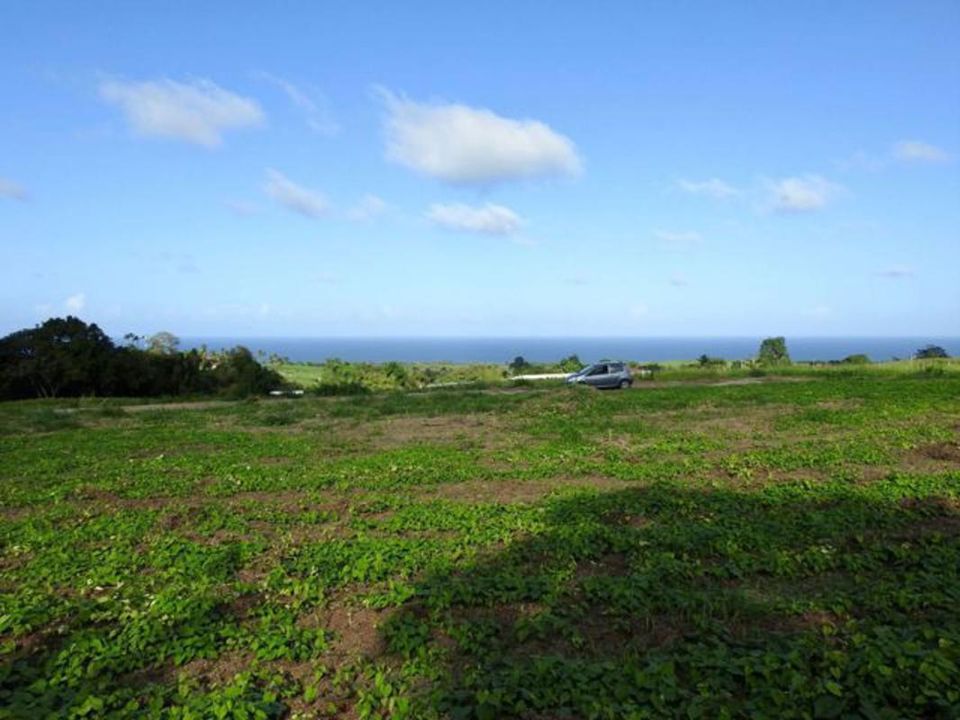 Terra a Basse-Pointe, Martinique - foto 1