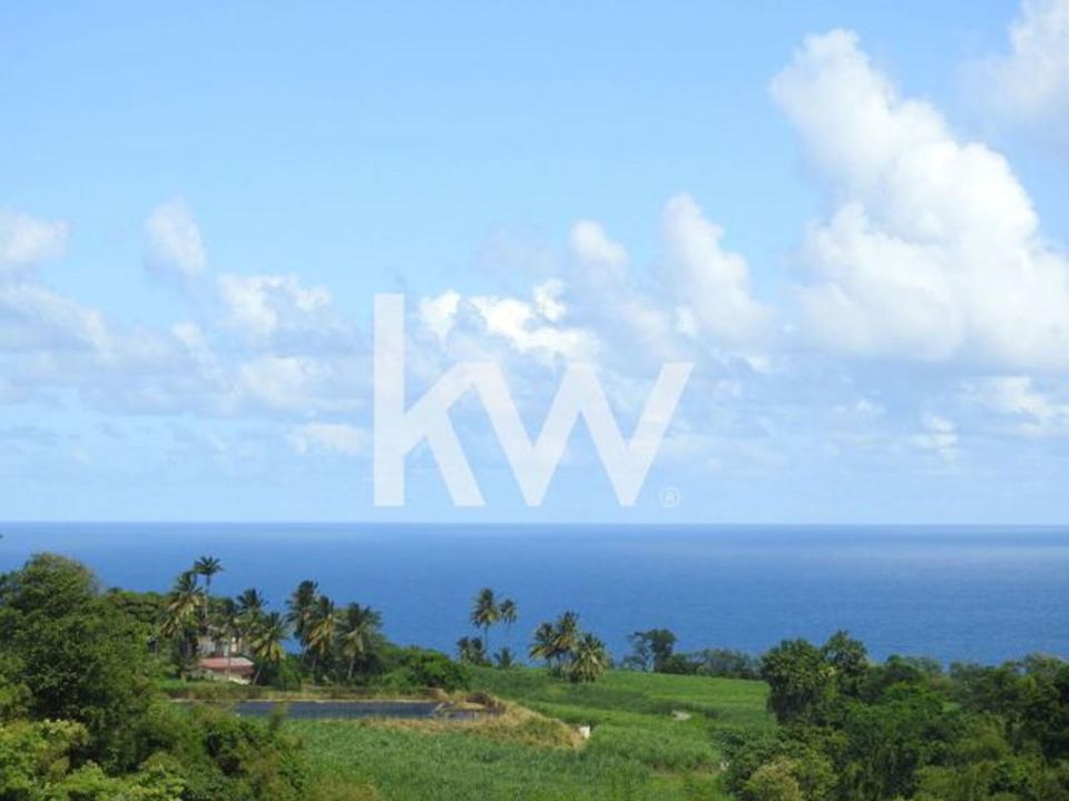 Terra a Basse-Pointe, Martinique - foto 5
