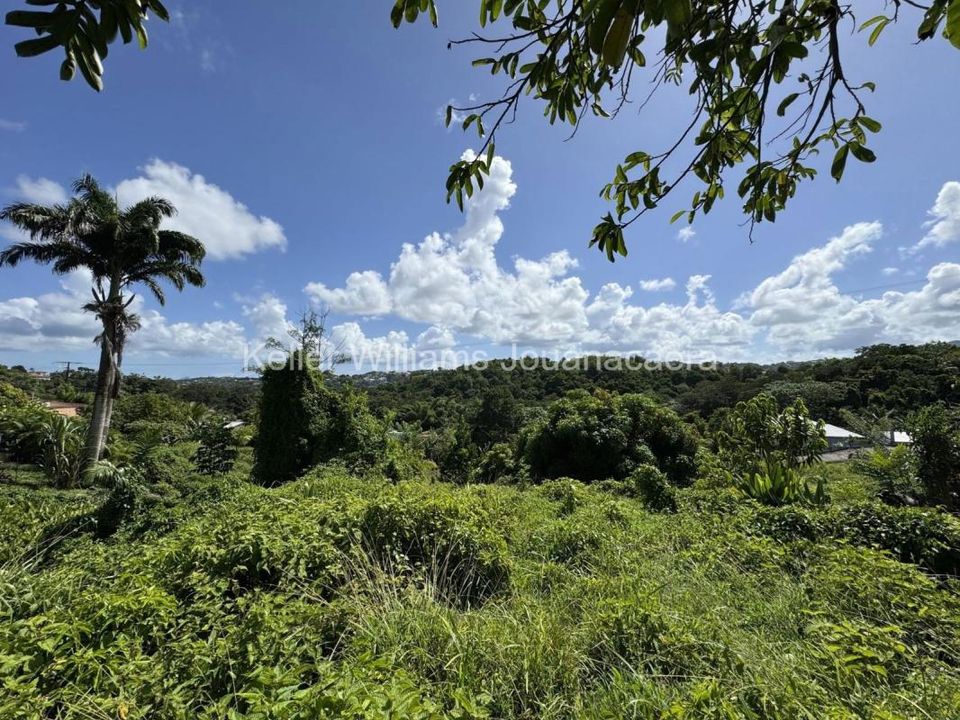 Helårsgrund i Joseph, Martinique - foto 1