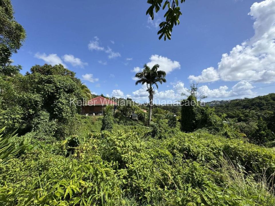 Helårsgrund i Joseph, Martinique - foto 2
