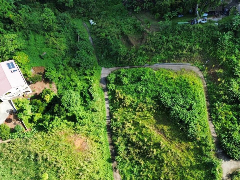 Helårsgrund i Dikos, Martinique - foto 5