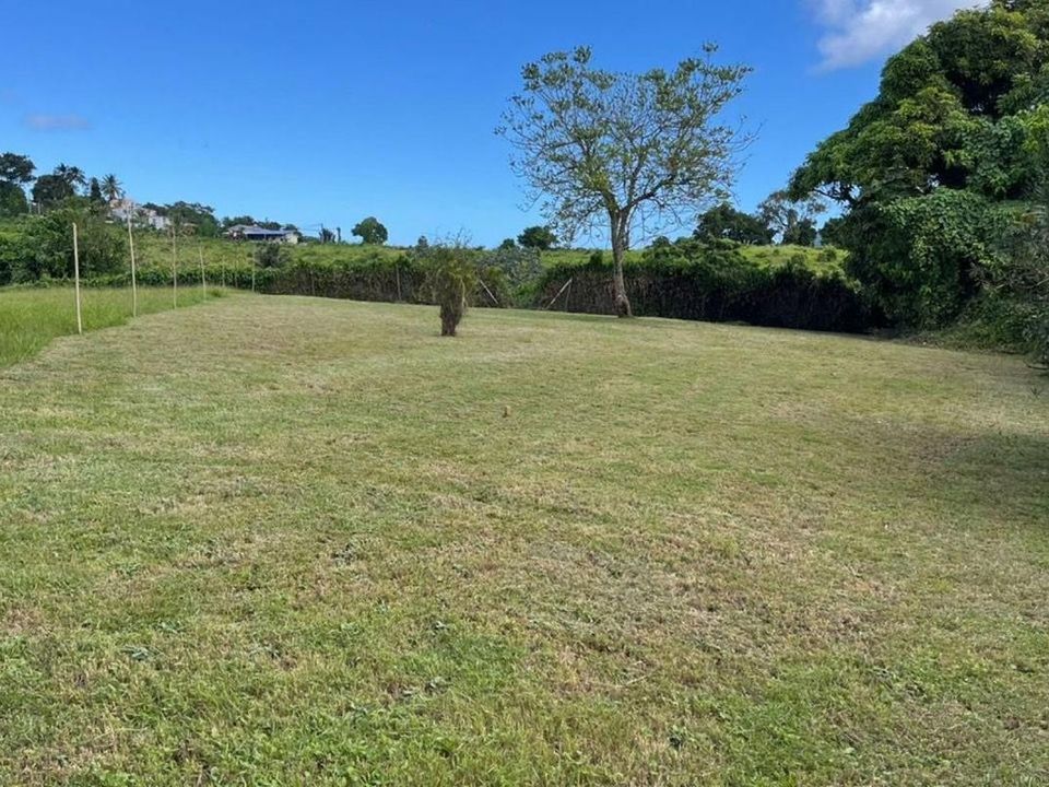 Grond in Le Lamentin, Martinique - foto 1