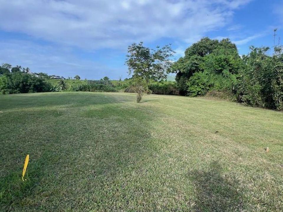 Grond in Le Lamentin, Martinique - foto 4