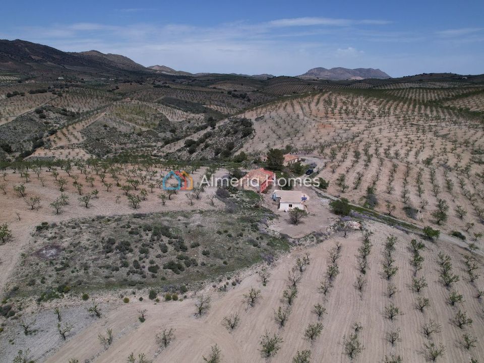 Masia a Albox, Almeria - foto 3