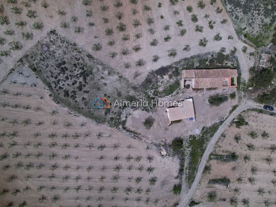 Masia a Albox, Almeria - foto 5