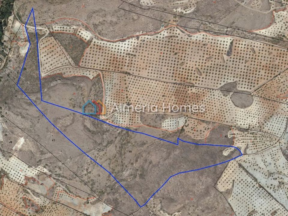 Helårsgrund i Oria, Almeria - foto 1