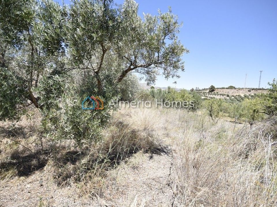Tomt i Tijola, Almeria - bilde 4