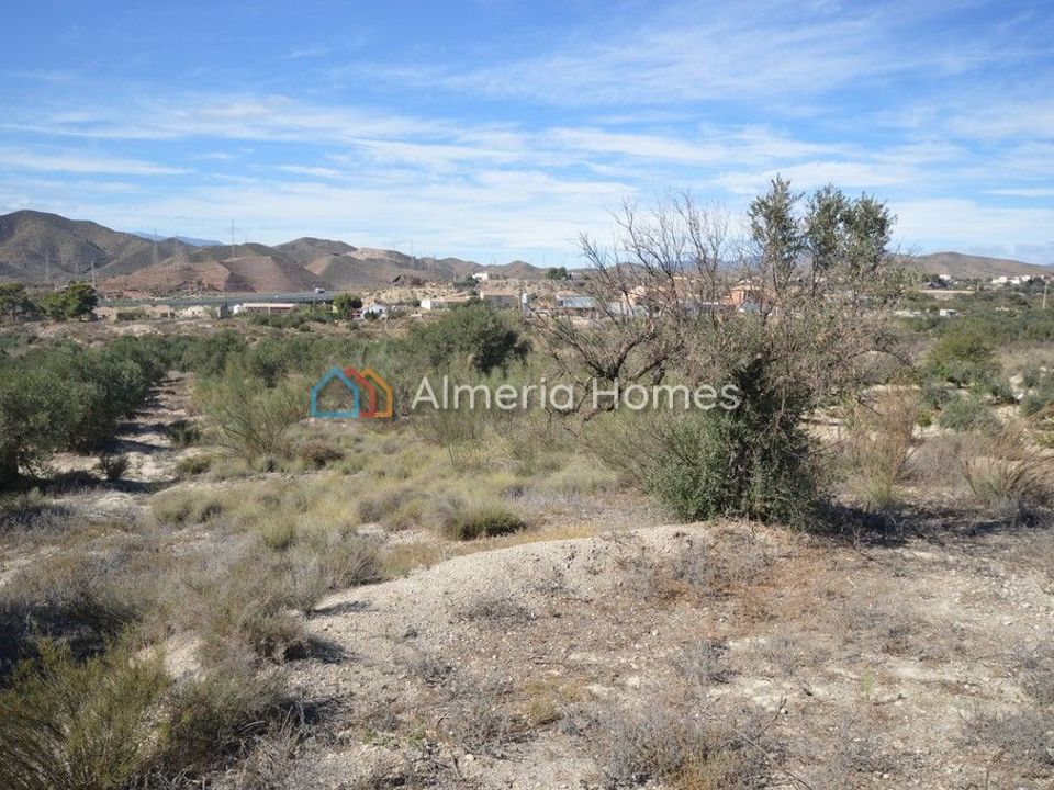 Terreno en Albox, Almeria - foto 2